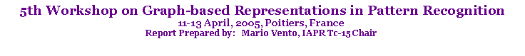 Text Box: 5th Workshop on Graph-based Representations in Pattern Recognition11-13 April, 2005, Poitiers, FranceReport Prepared by:   Mario Vento, IAPR Tc-15 Chair